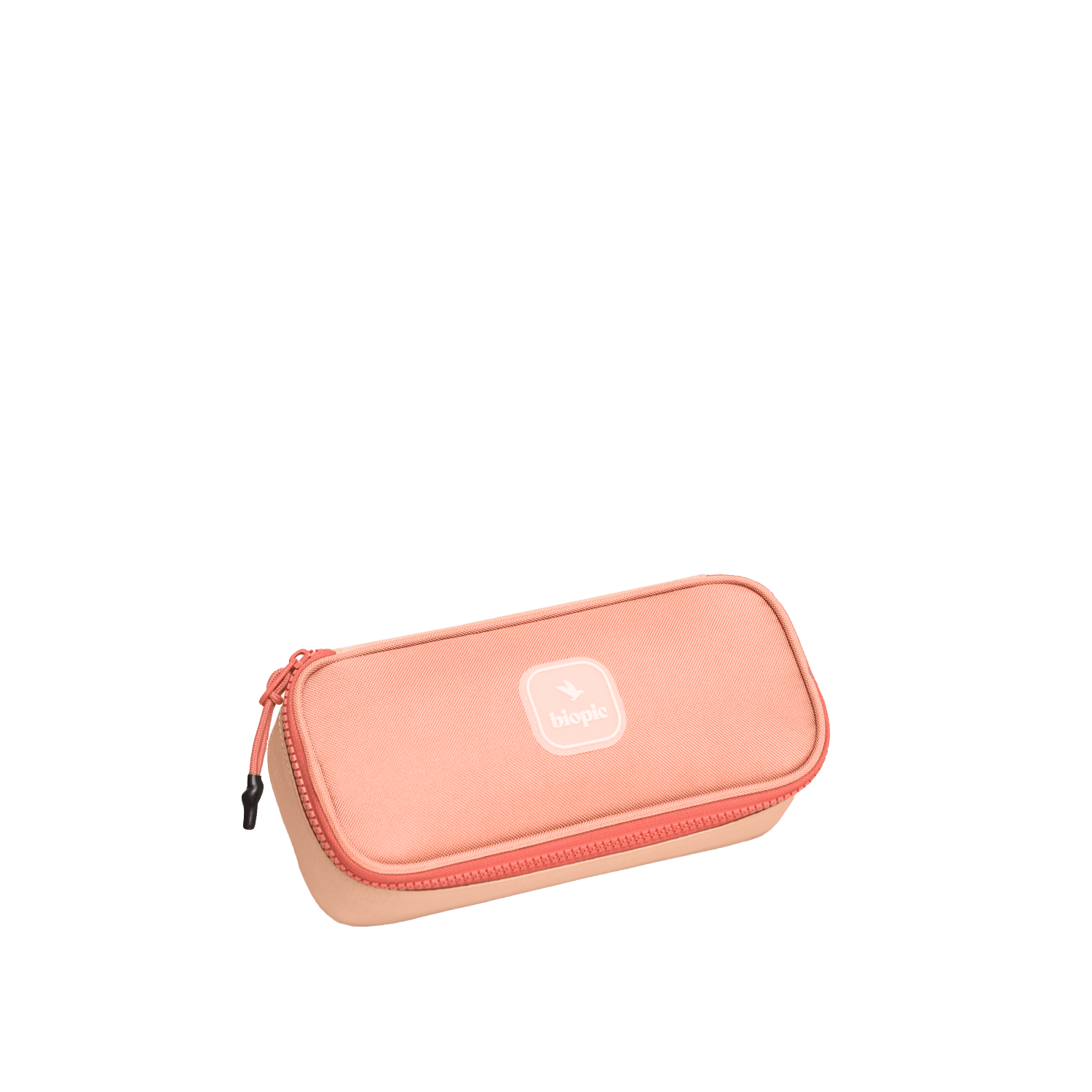 Plumier Louis - Biopic | Porteur d'histoires