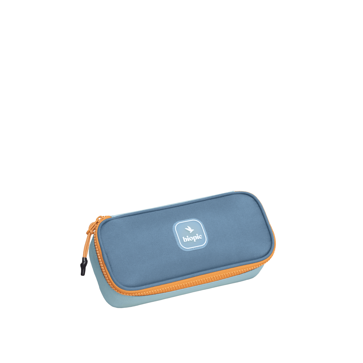 Plumier Louis - Biopic | Porteur d'histoires